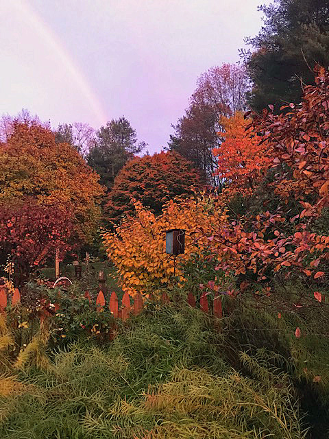 Susan's Garden